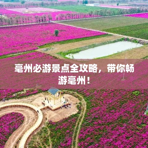 毫州必游景点全攻略，带你畅游毫州！