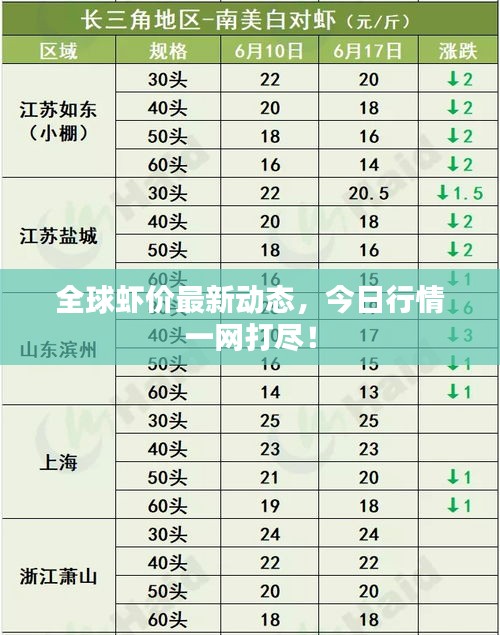 全球虾价最新动态，今日行情一网打尽！