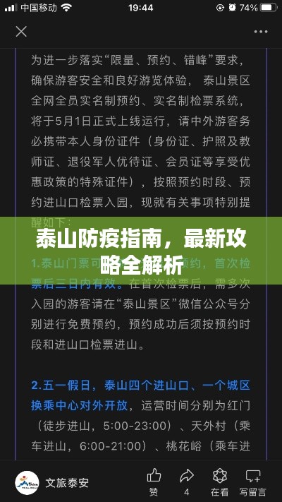 泰山防疫指南，最新攻略全解析