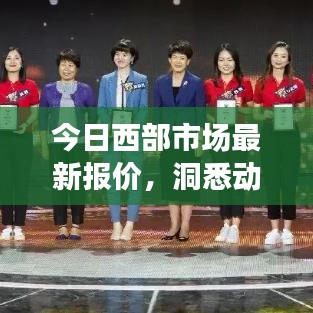今日西部市场最新报价，洞悉动态，掌握投资先机