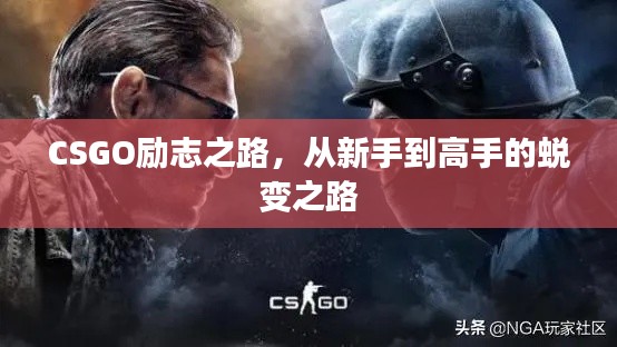 CSGO励志之路，从新手到高手的蜕变之路