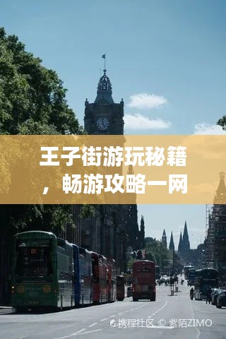 王子街游玩秘籍，畅游攻略一网打尽！