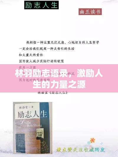 林羽励志语录，激励人生的力量之源