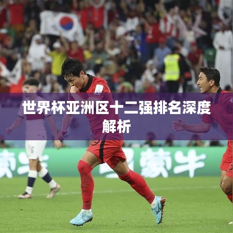 世界杯亚洲区十二强排名深度解析