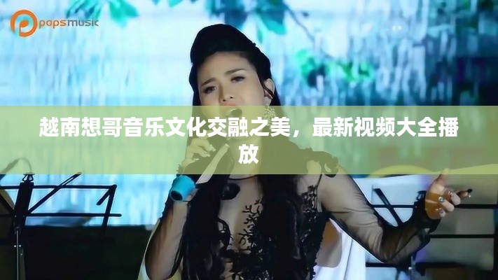 越南想哥音乐文化交融之美，最新视频大全播放