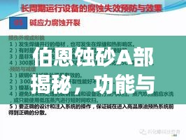 伯恩蚀砂A部揭秘，功能与重要性深度解析