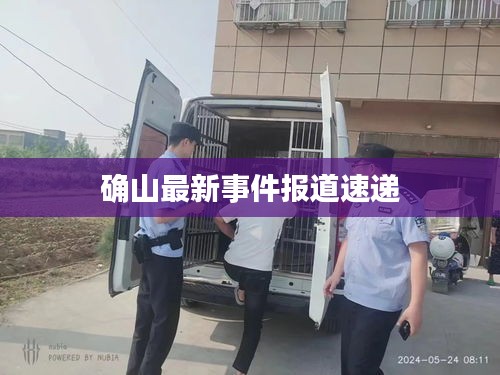 确山最新事件报道速递