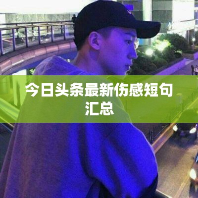 今日头条最新伤感短句汇总