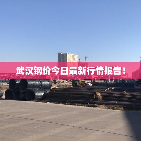 武汉钢价今日最新行情报告！