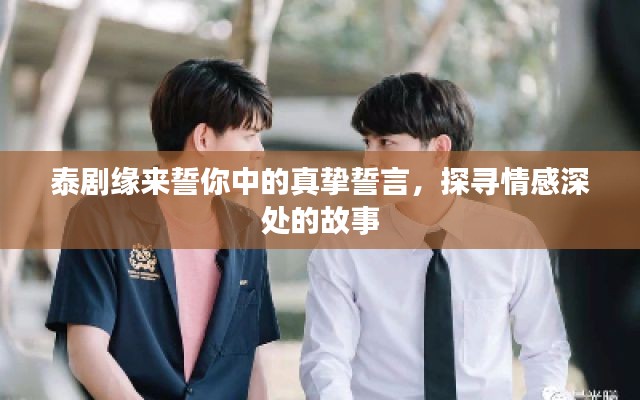泰剧缘来誓你中的真挚誓言，探寻情感深处的故事