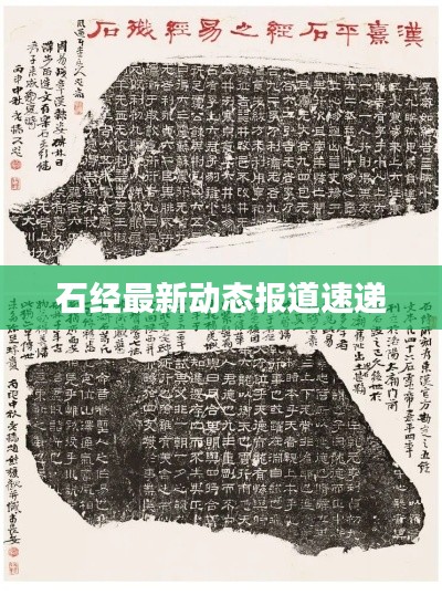 石经最新动态报道速递