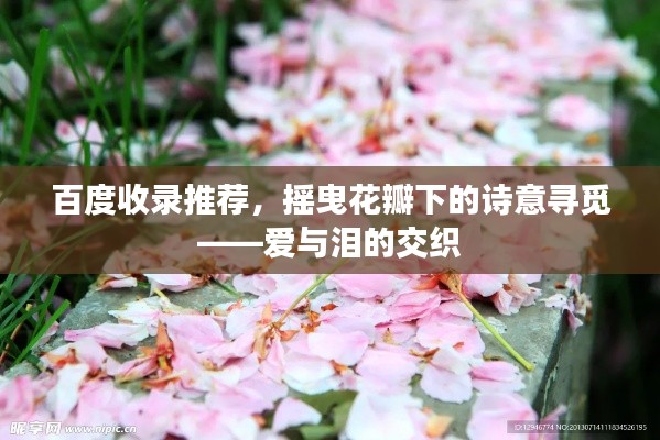百度收录推荐，摇曳花瓣下的诗意寻觅——爱与泪的交织