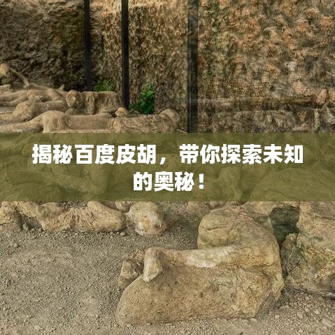 揭秘百度皮胡，带你探索未知的奥秘！