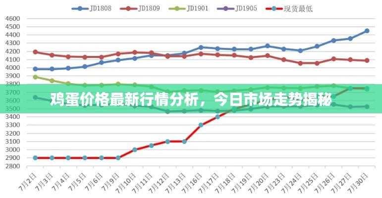 鸡蛋价格最新行情分析，今日市场走势揭秘