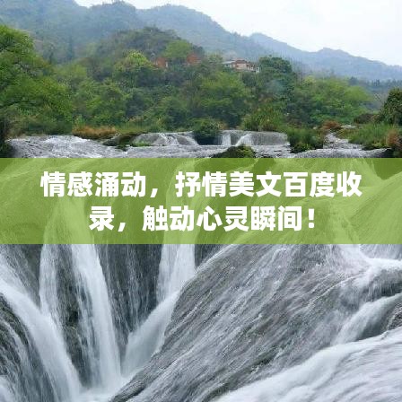 情感涌动，抒情美文百度收录，触动心灵瞬间！